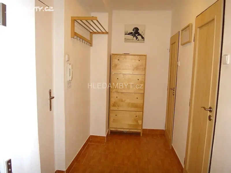 Pronájem bytu 1+1 40 m², Vinohradská, Praha 2 - Vinohrady