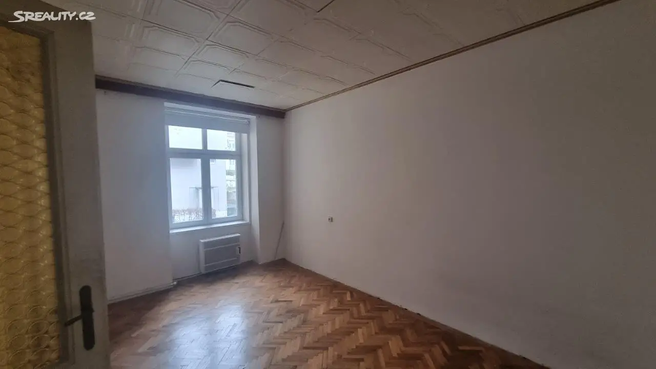 Pronájem bytu 3+1 120 m², Údolní, Brno - Veveří