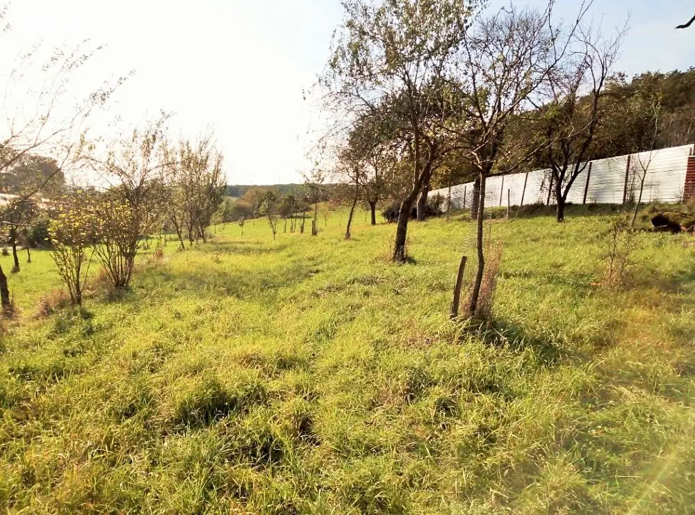 Prodej  zahrady 1 260 m², Prakšice, okres Uherské Hradiště