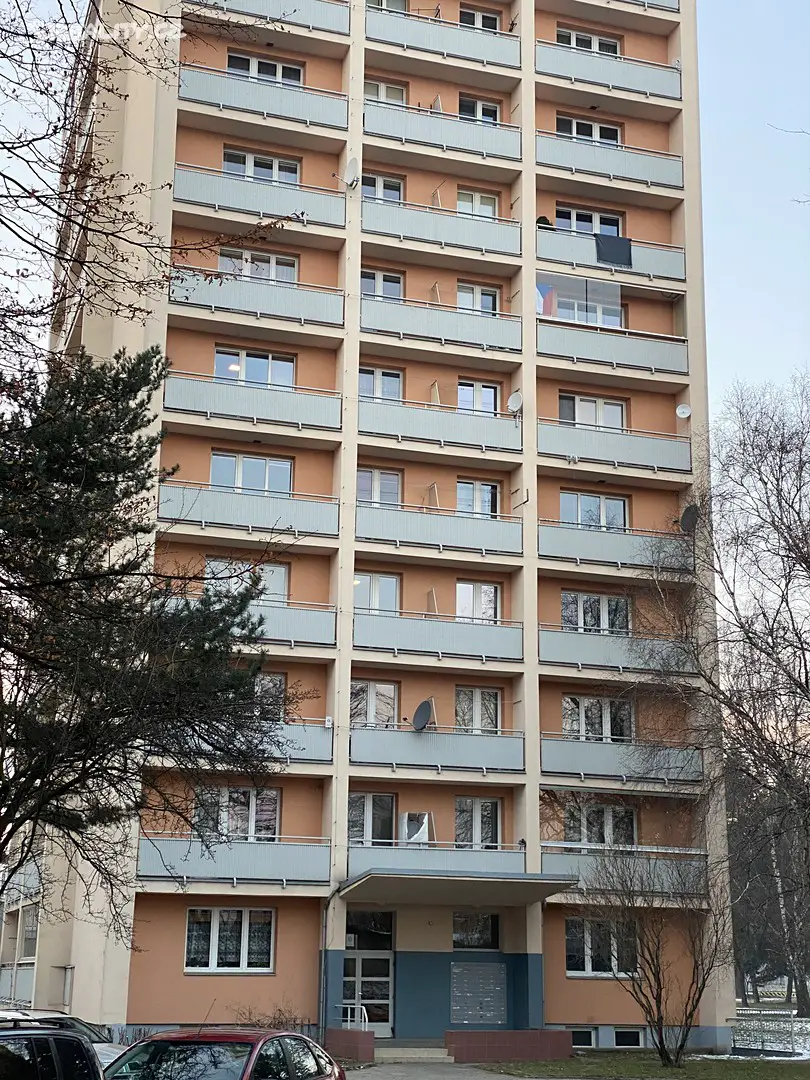 Pronájem bytu 1+kk 20 m², Haškova, Opava - Předměstí