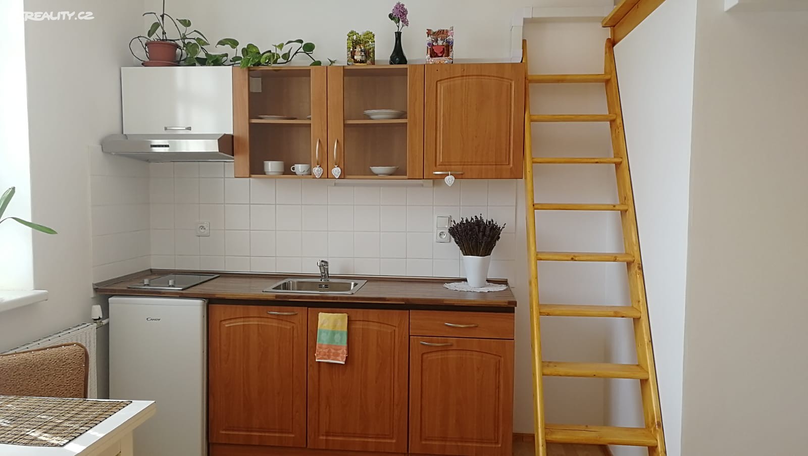 Pronájem bytu 1+kk 25 m², Pardubice - Zelené Předměstí, okres Pardubice