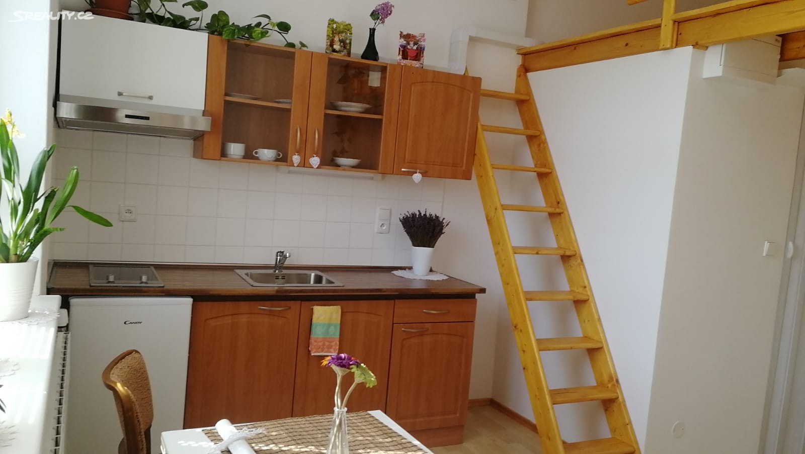 Pronájem bytu 1+kk 25 m², Pardubice - Zelené Předměstí, okres Pardubice