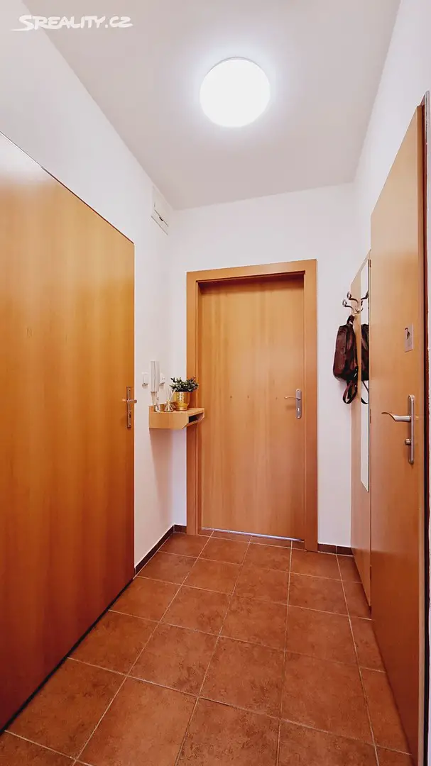 Pronájem bytu 2+kk 38 m², Škroupova, Brno - Židenice