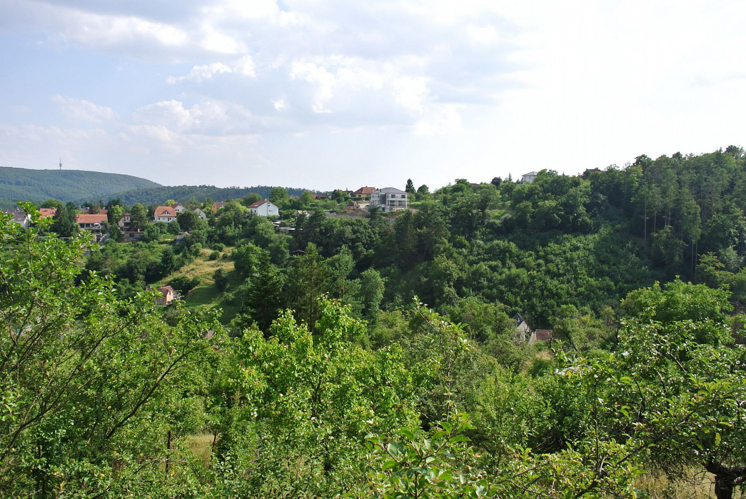Husova, Bílovice nad Svitavou, okres Brno-venkov