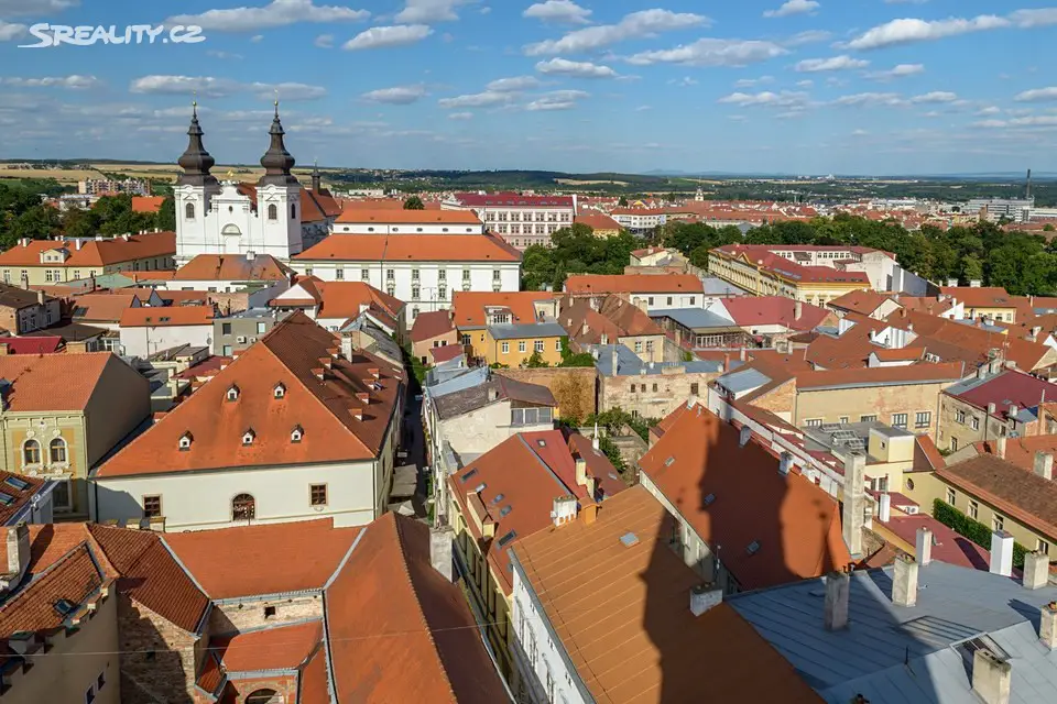 Prodej  pole 8 571 m², Moravský Krumlov, okres Znojmo