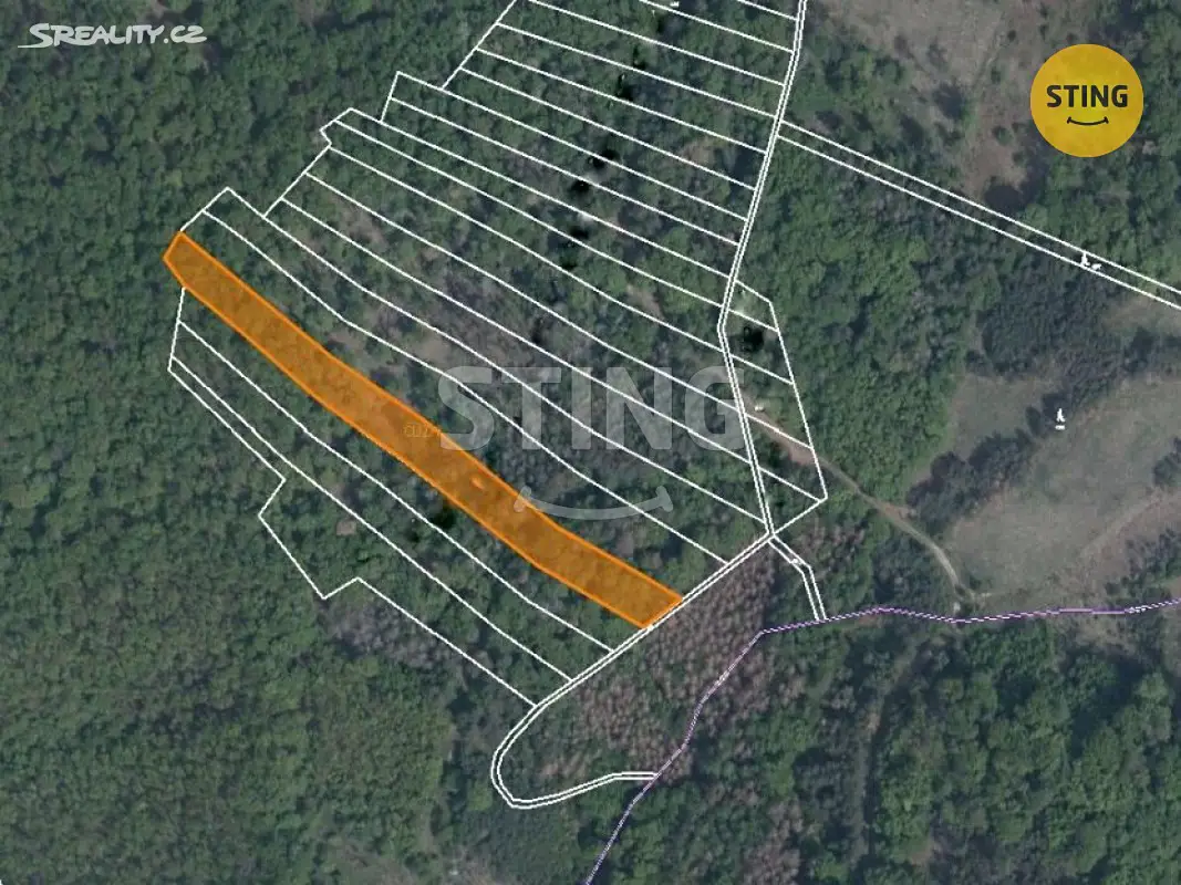Prodej  lesa 8 020 m², Kramolín, okres Třebíč