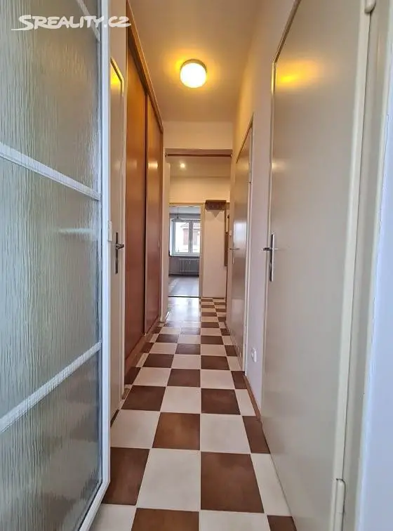 Pronájem bytu 4+1 92 m², Nerudova, České Budějovice - České Budějovice 3