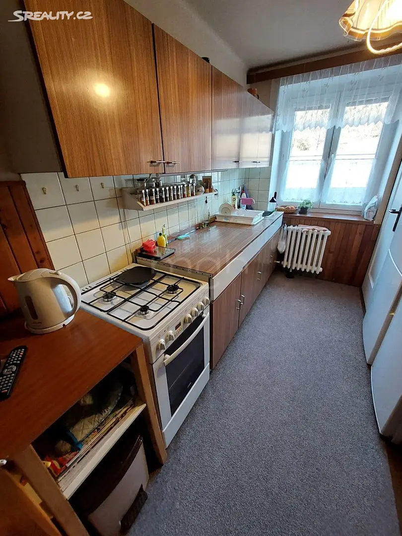 Prodej bytu 4+1 81 m², Severní, Karlovy Vary - Rybáře