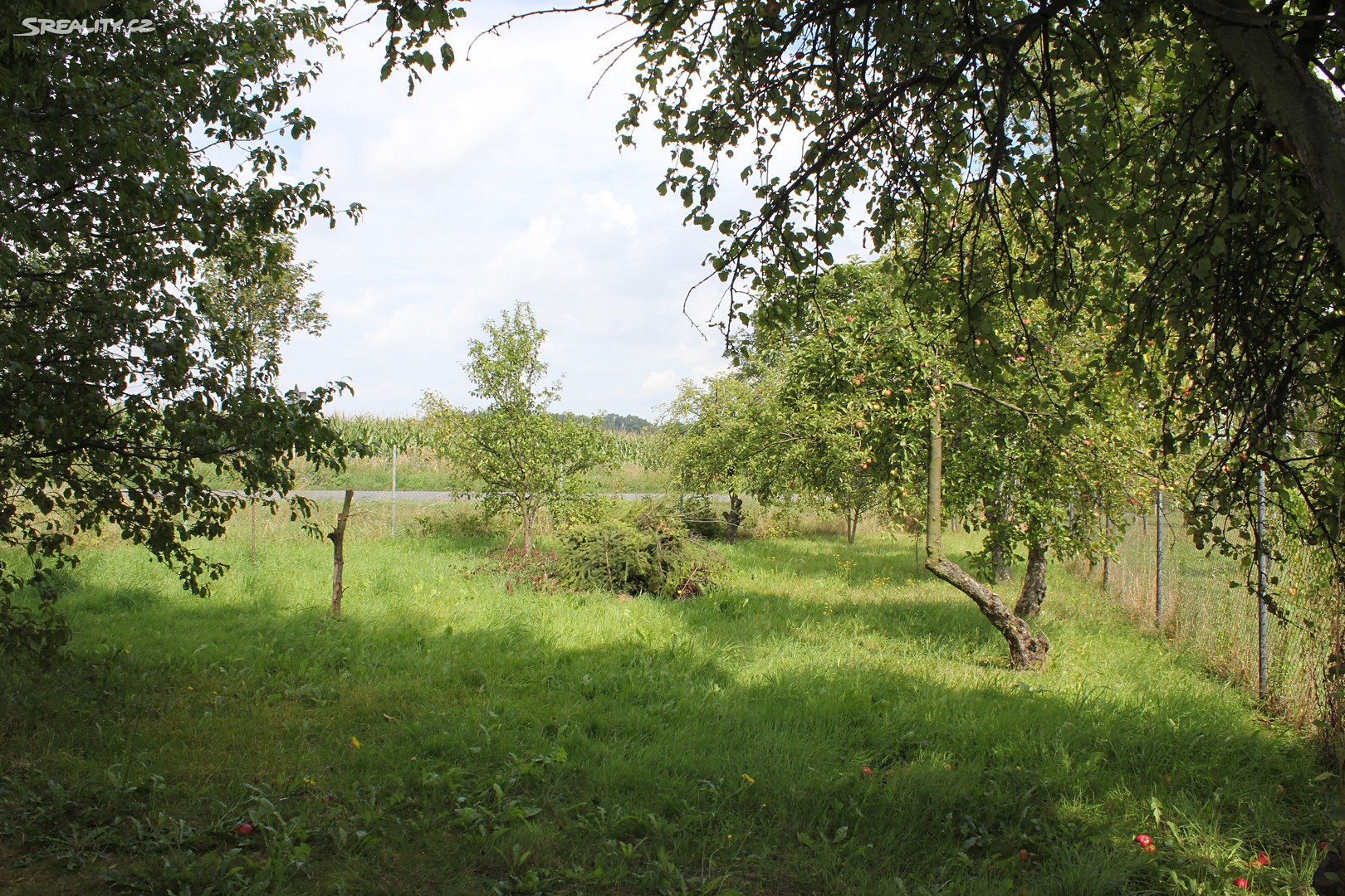 Prodej  chalupy 488 m², pozemek 604 m², Horní Újezd, okres Přerov
