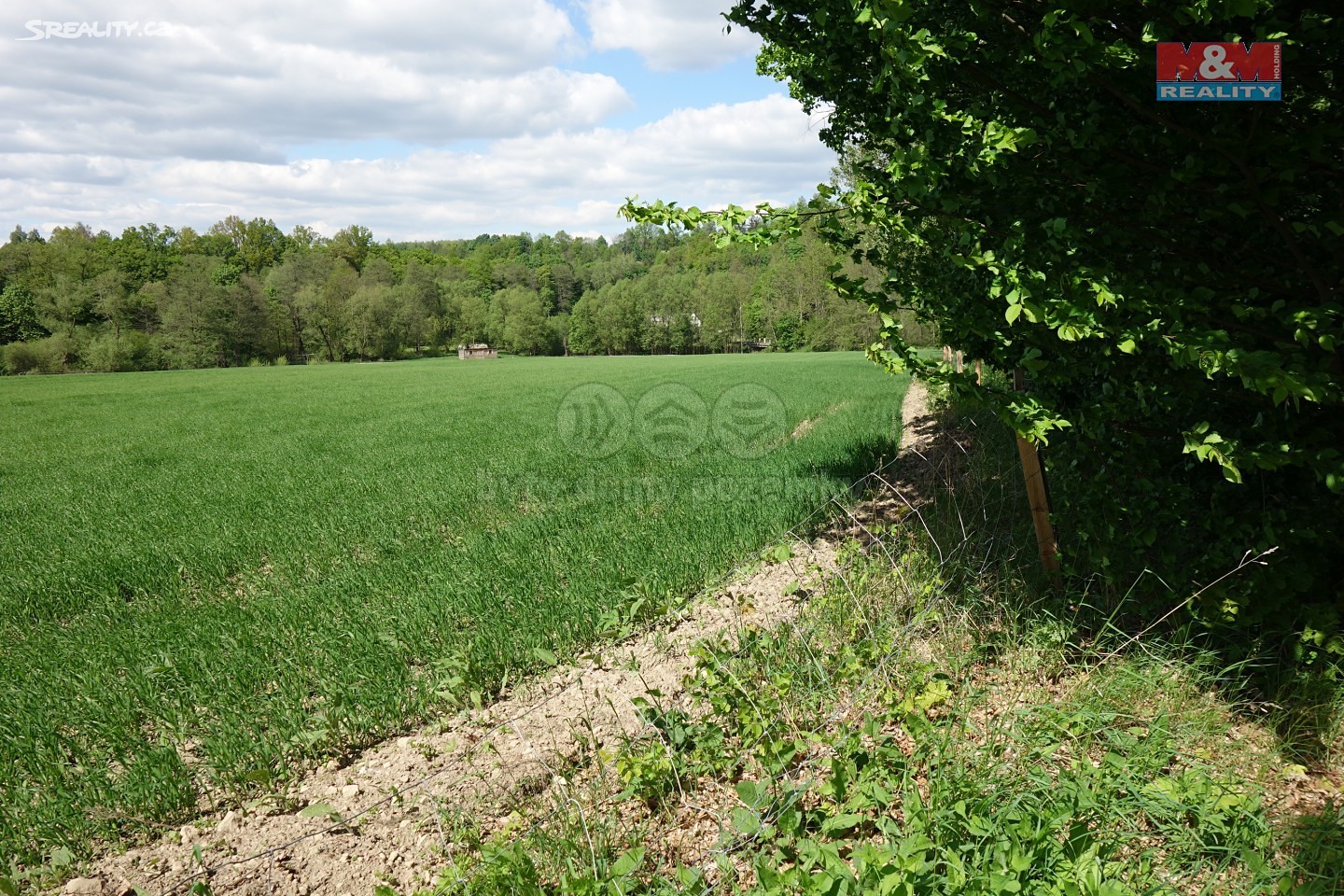 Prodej  stavebního pozemku 25 855 m², Rybník, okres Ústí nad Orlicí