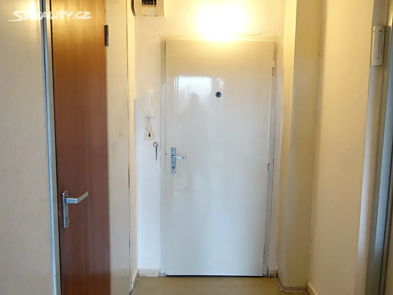 Pronájem bytu 1+1 41 m², Cholevova, Ostrava - Hrabůvka