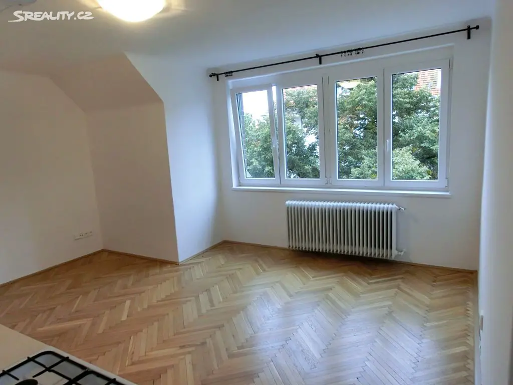 Pronájem bytu 1+kk 35 m², U kněžské louky, Praha 3 - Žižkov