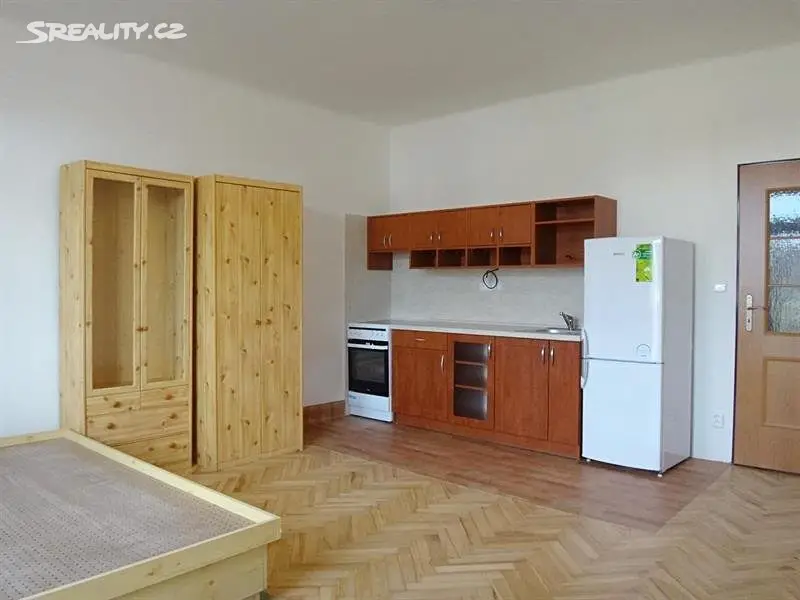 Pronájem bytu 1+kk 32 m², Kounicova, Brno - Veveří