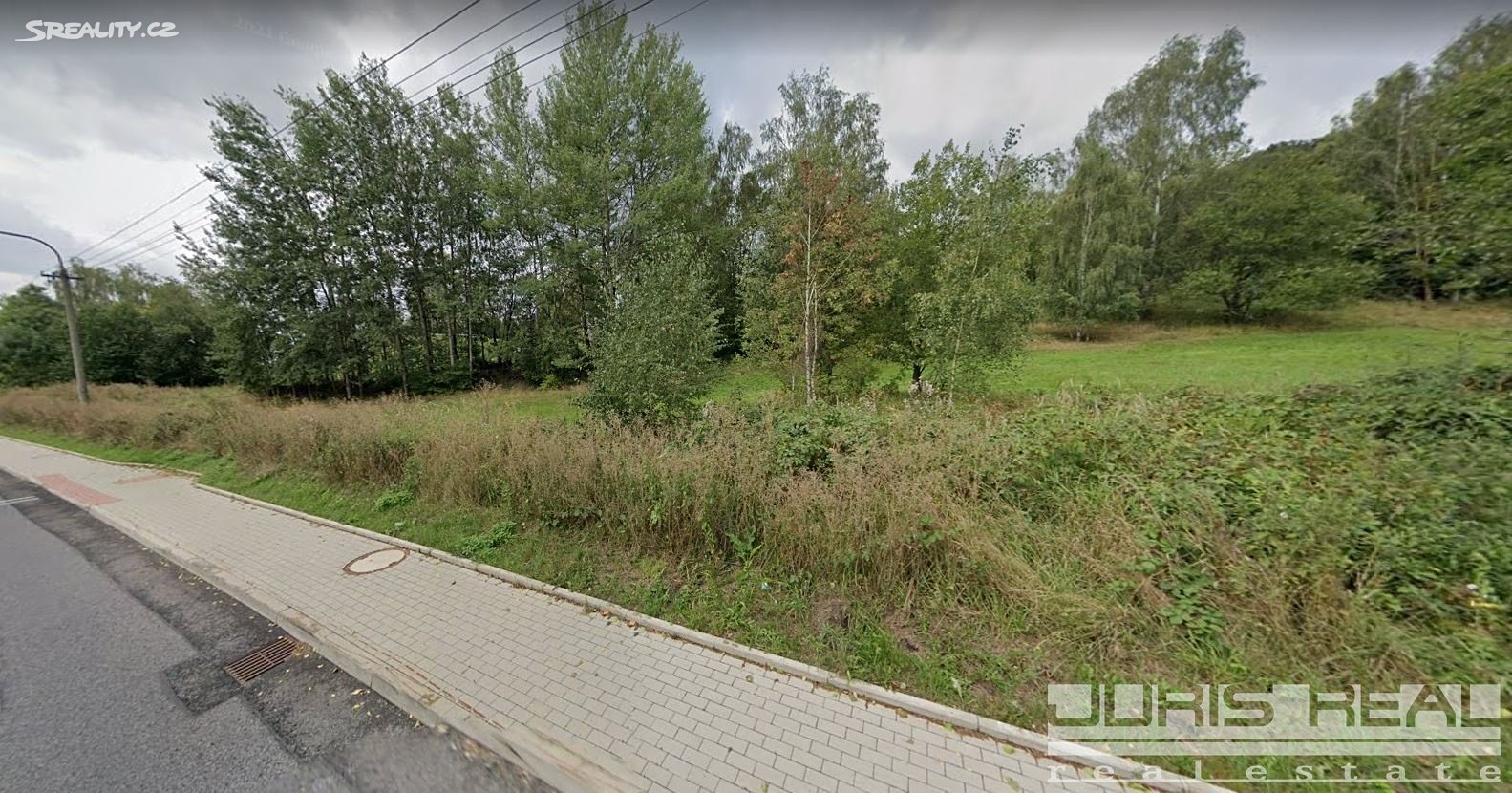 Prodej  stavebního pozemku 1 363 m², Nový Bor - Arnultovice, okres Česká Lípa