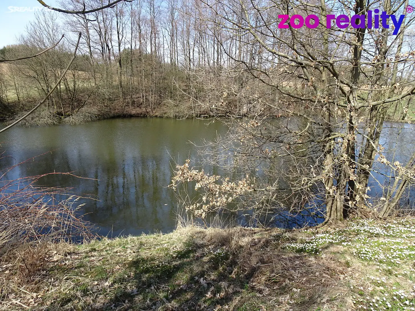 Prodej  rybníku (vodní plochy) 3 988 m², Přibyslav, okres Havlíčkův Brod