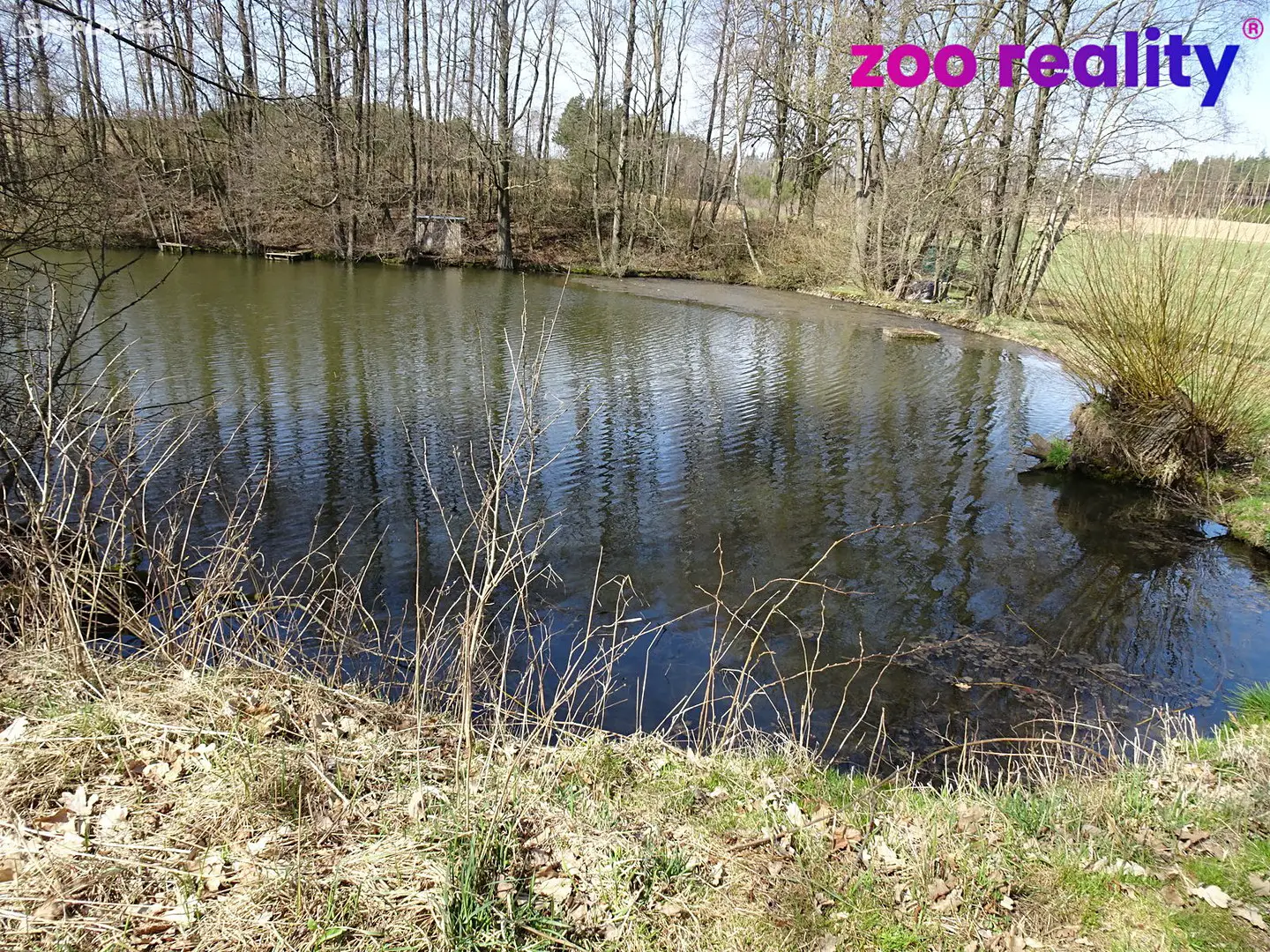 Prodej  rybníku (vodní plochy) 3 988 m², Přibyslav, okres Havlíčkův Brod