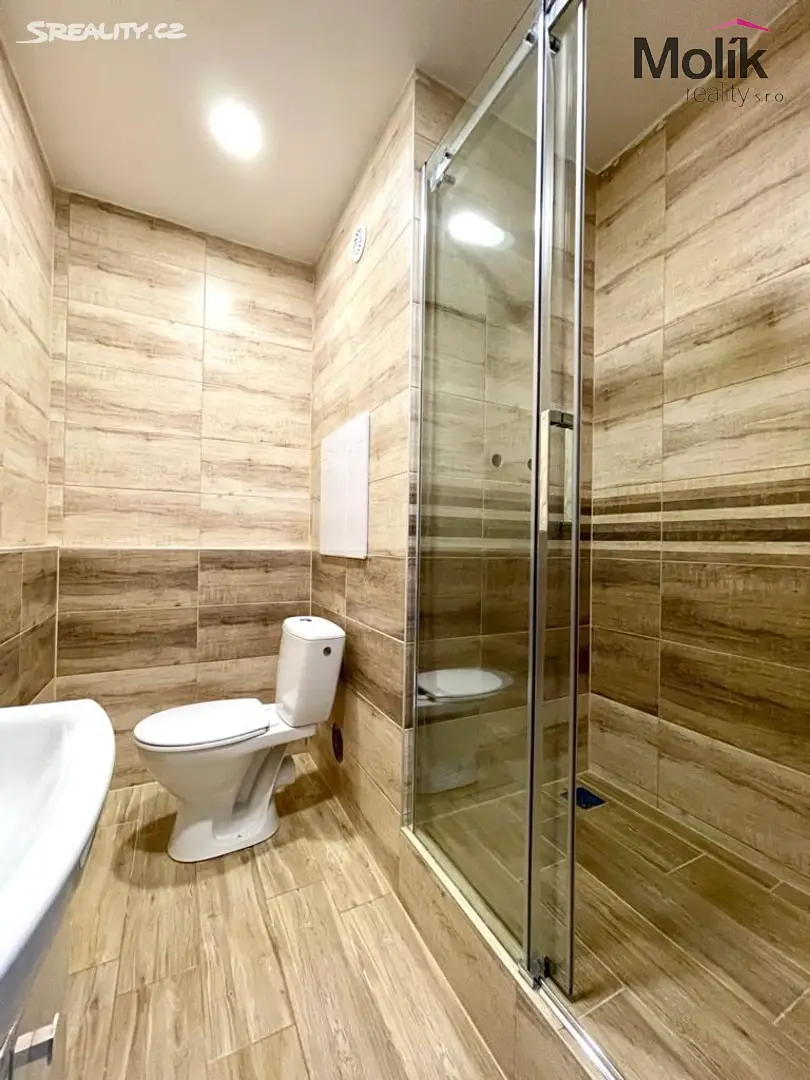 Pronájem bytu 2+kk 43 m², Dolejšova, Osek