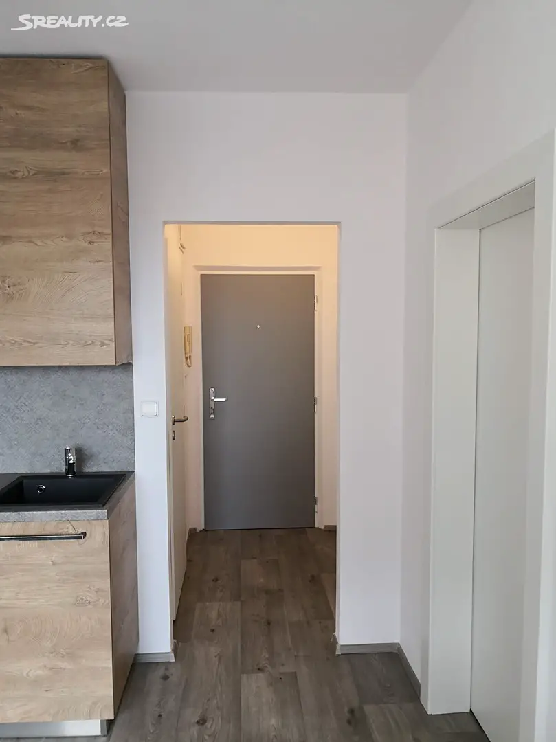 Pronájem bytu 1+1 35 m², Sokolovská, Plzeň - Bolevec