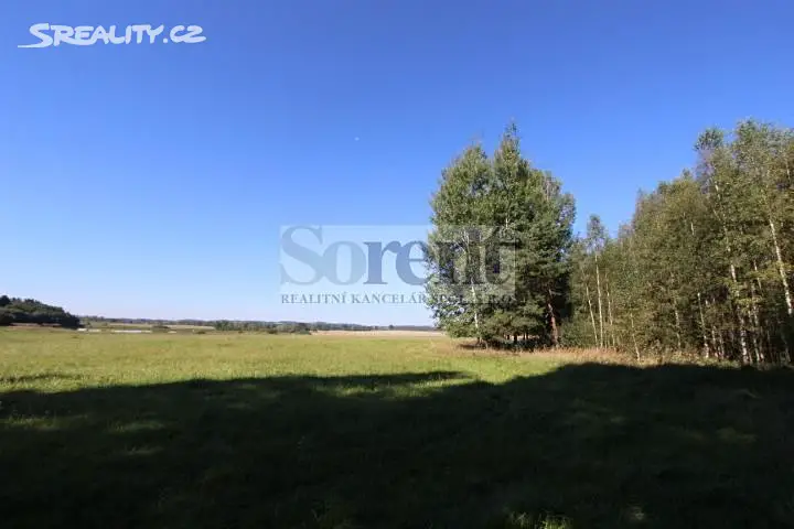 Prodej  lesa 76 474 m², Ratiboř, okres Jindřichův Hradec