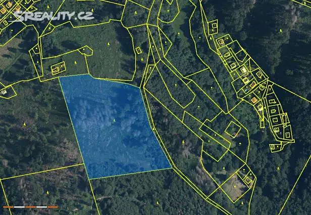 Prodej  lesa 39 900 m², Třinec - Tyra, okres Frýdek-Místek
