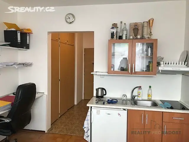 Pronájem bytu 1+kk 17 m², Národní třída, Hodonín