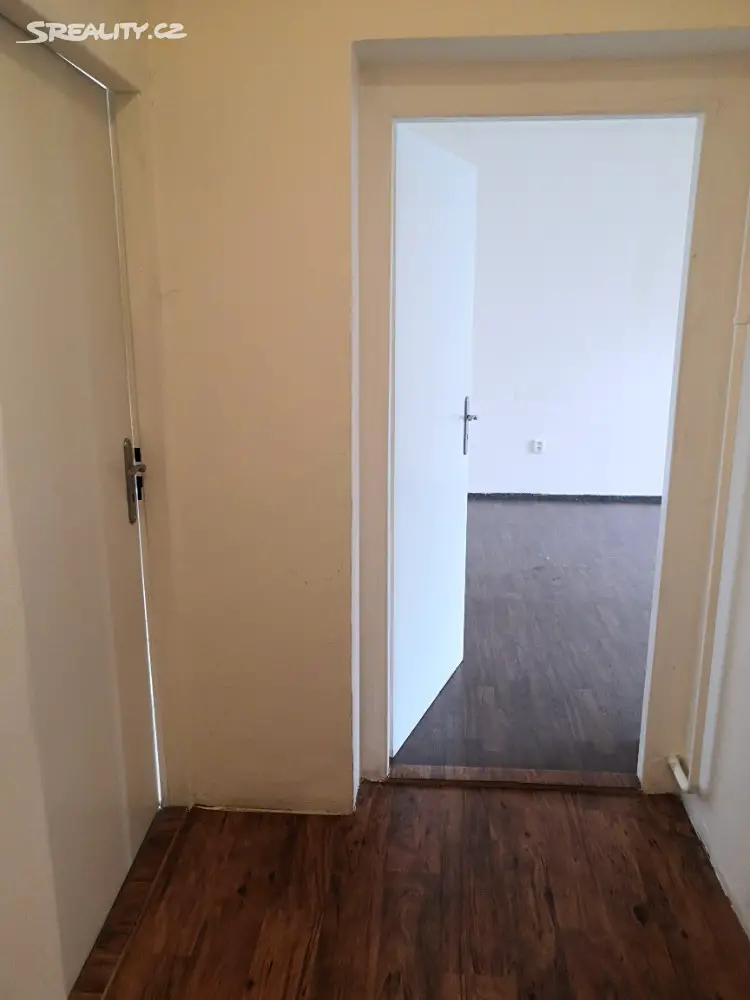 Pronájem bytu 1+1 40 m², Newtonova, Ostrava - Přívoz
