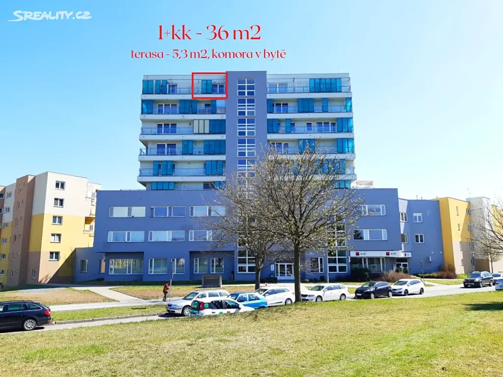 Pronájem bytu 1+kk 33 m², Okružní, Olomouc - Nová Ulice