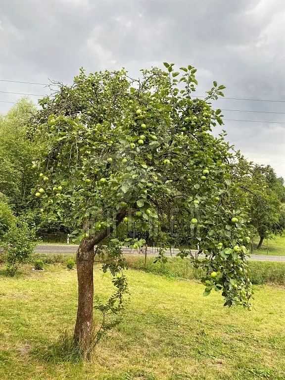 Řepín, okres Mělník