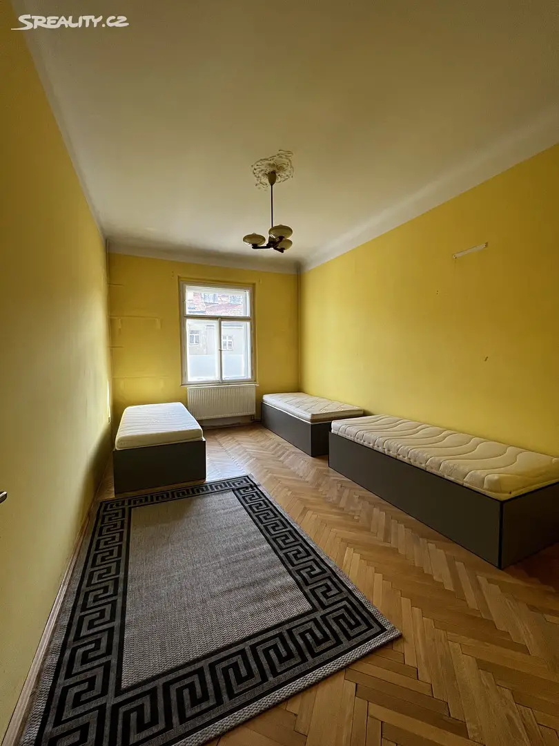 Pronájem bytu 1+1 50 m², Mánesova, Praha - Vinohrady