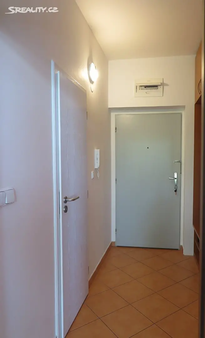 Pronájem bytu 1+kk 45 m², Zlínská, Brno - Slatina