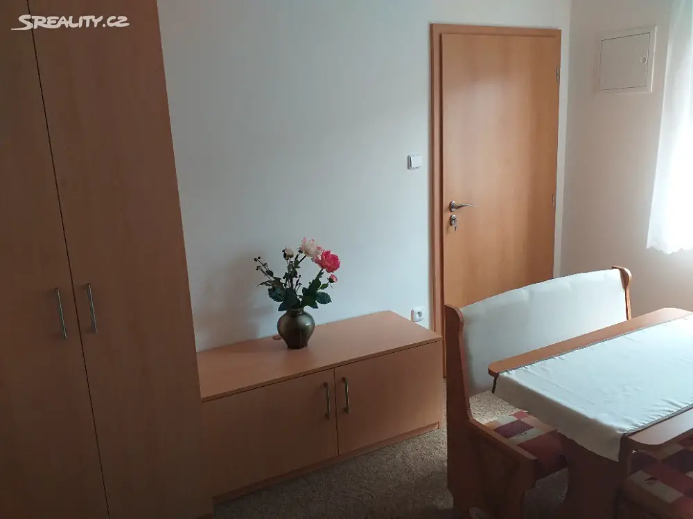 Pronájem bytu 1+kk 17 m², Čechova, Lysá nad Labem