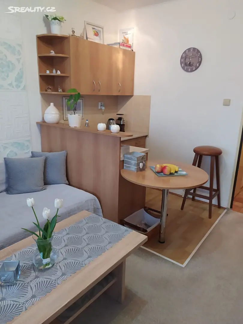 Prodej bytu 1+kk 22 m², Baarova, Ostrava - Mariánské Hory