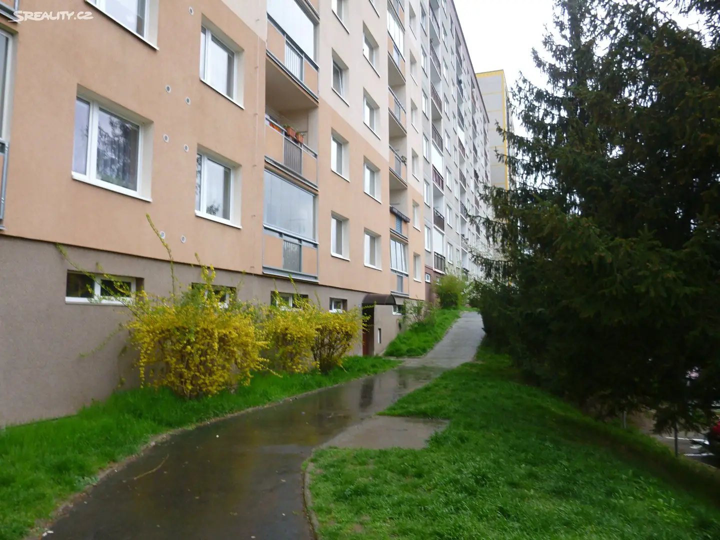 Prodej bytu 3+1 75 m², Dvořákova, Děčín - Děčín II-Nové Město