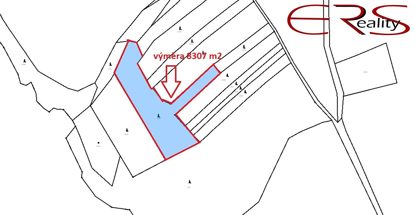 Prodej  lesa 8 307 m², Dražice, okres Tábor