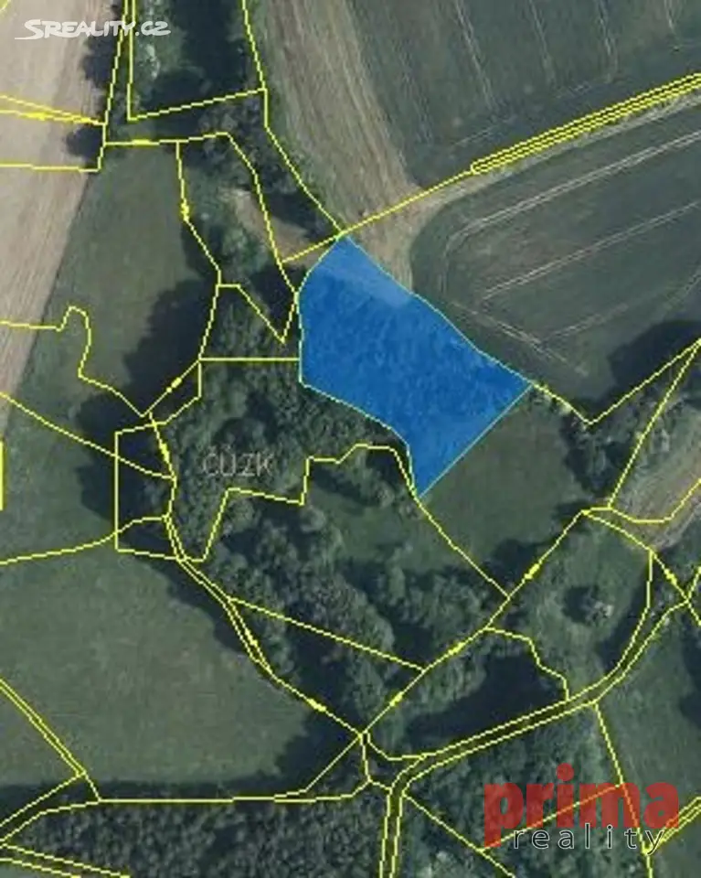 Prodej  lesa 15 779 m², Jankov - Čestín, okres Benešov