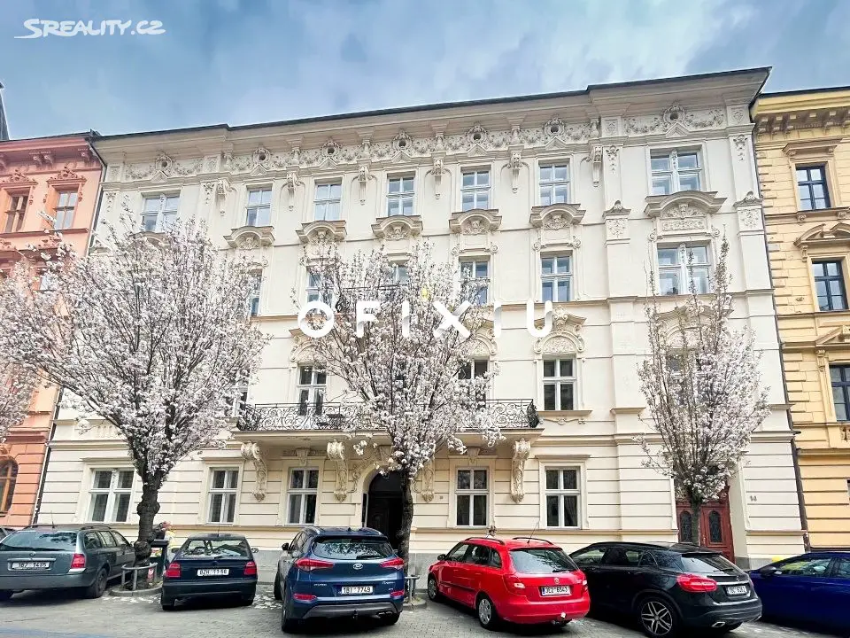 Pronájem bytu 3+kk 121 m², Jaselská, Brno - Veveří