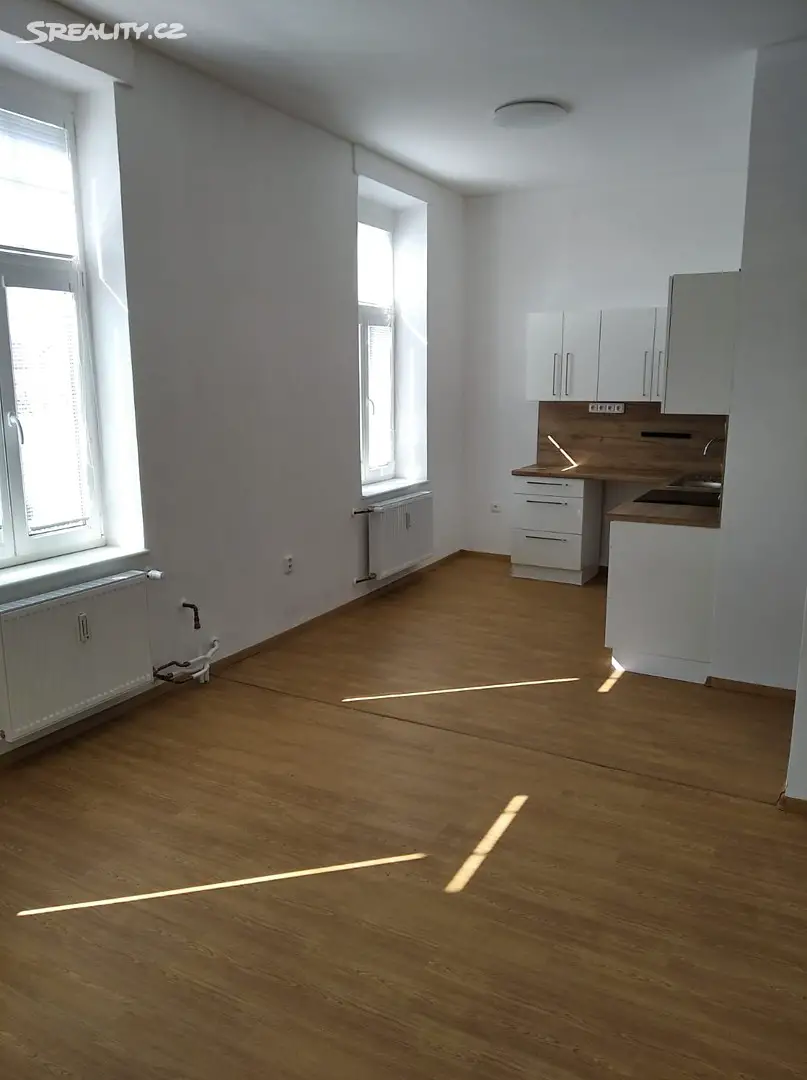 Pronájem bytu 1+1 49 m², Komenského, České Budějovice - České Budějovice 7