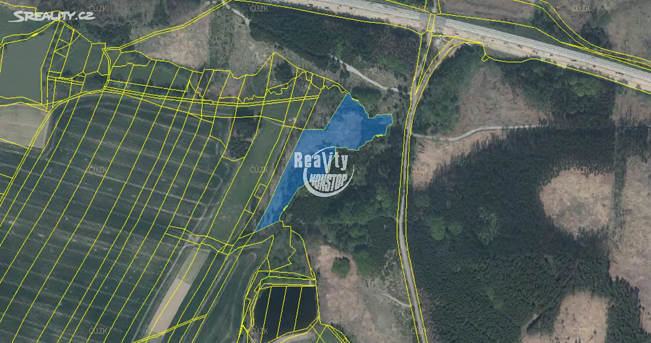 Prodej  lesa 17 819 m², Kamenice - Řehořov, okres Jihlava