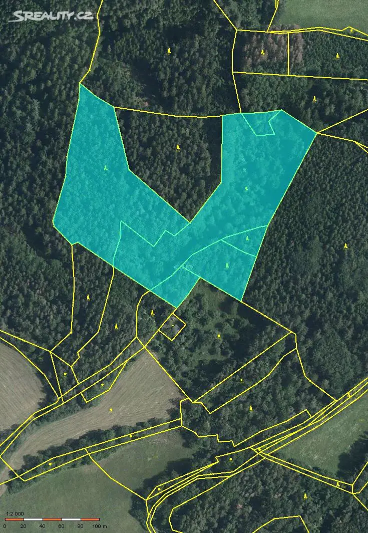 Prodej  lesa 31 910 m², Votice, okres Benešov