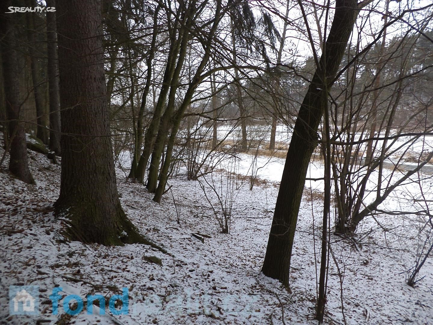 Prodej  pozemku 8 621 m², Světlá nad Sázavou, okres Havlíčkův Brod