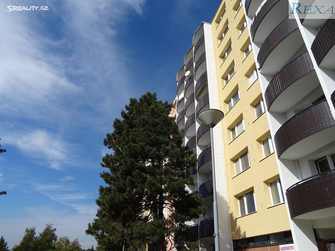 Pronájem bytu 3+1 80 m², Fillova, Brno - Lesná
