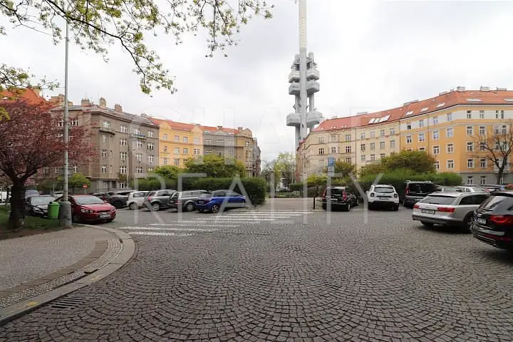 Slavíkova, Praha 3 - Žižkov, okres Praha