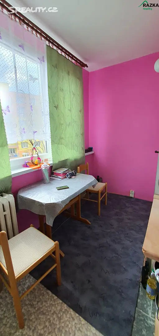 Prodej bytu 1+1 40 m², Stadtrodská, Tachov