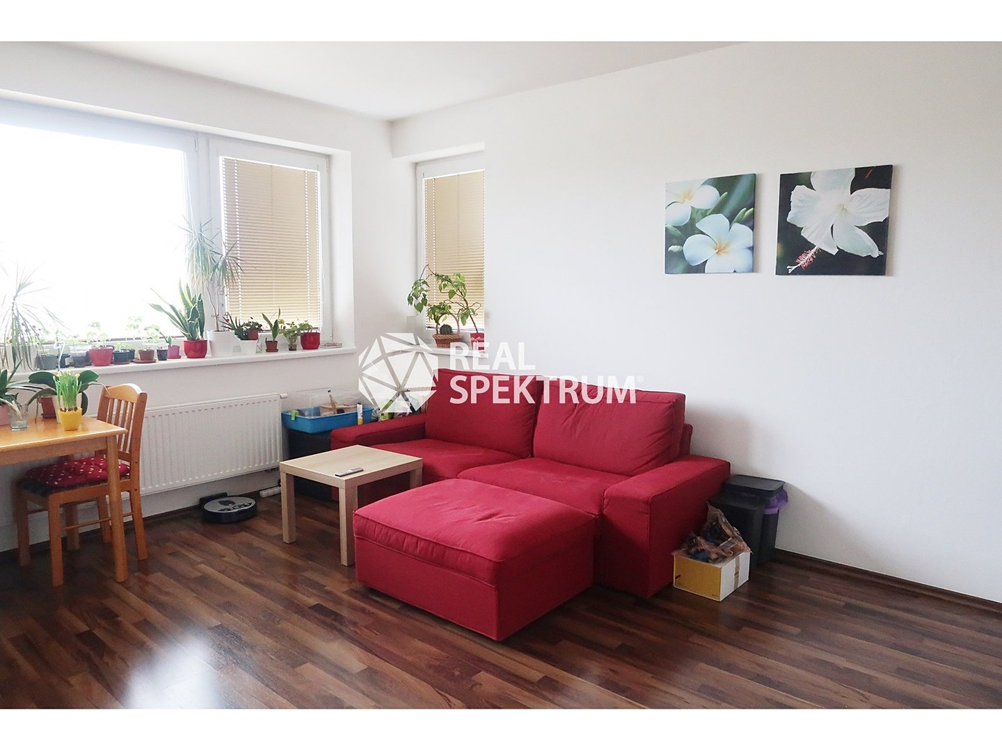 Pronájem bytu 2+kk 47 m², Říčanská, Brno - Žebětín