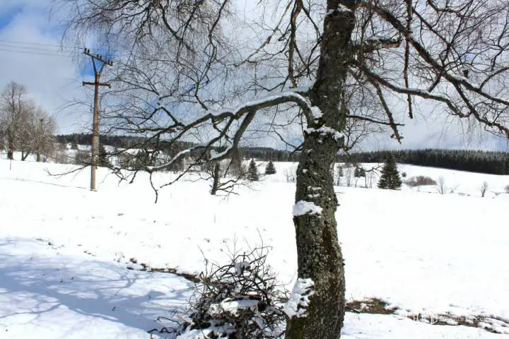 Perninská, Horní Blatná, Karlovy Vary