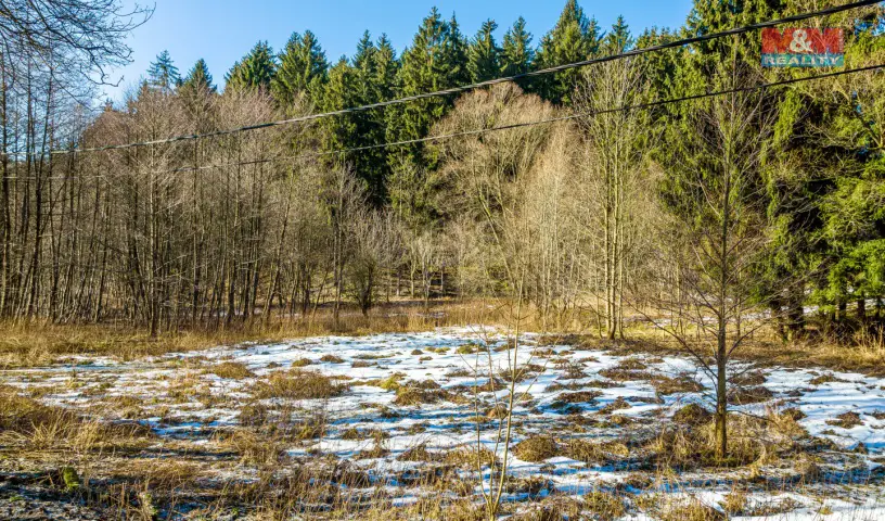 Hodkovice nad Mohelkou, Liberec