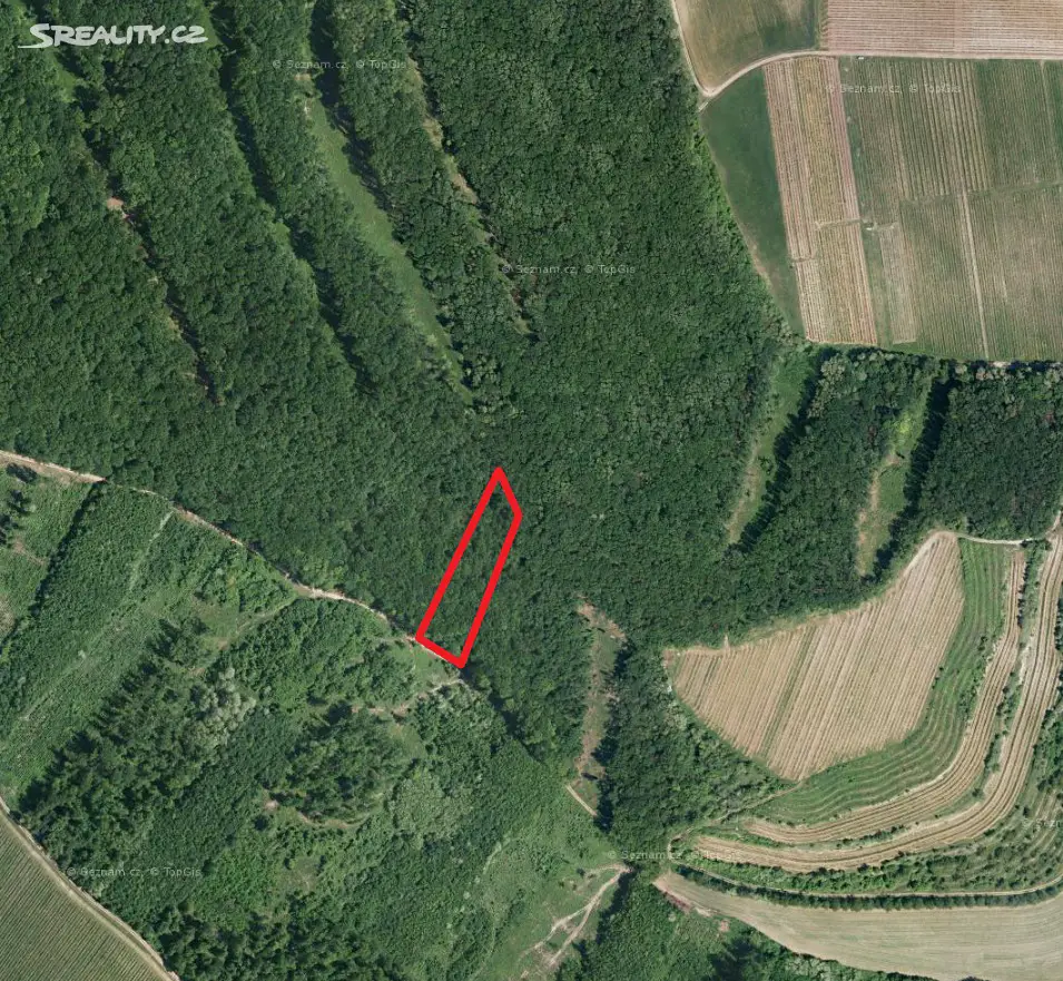 Prodej  lesa 869 m², Brumovice, okres Břeclav