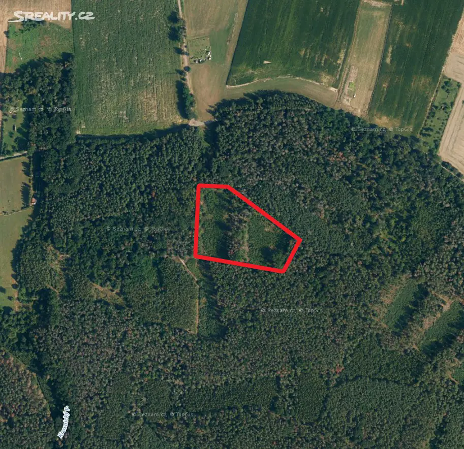 Prodej  lesa 7 911 m², Jankovice - Kozašice, okres Pardubice