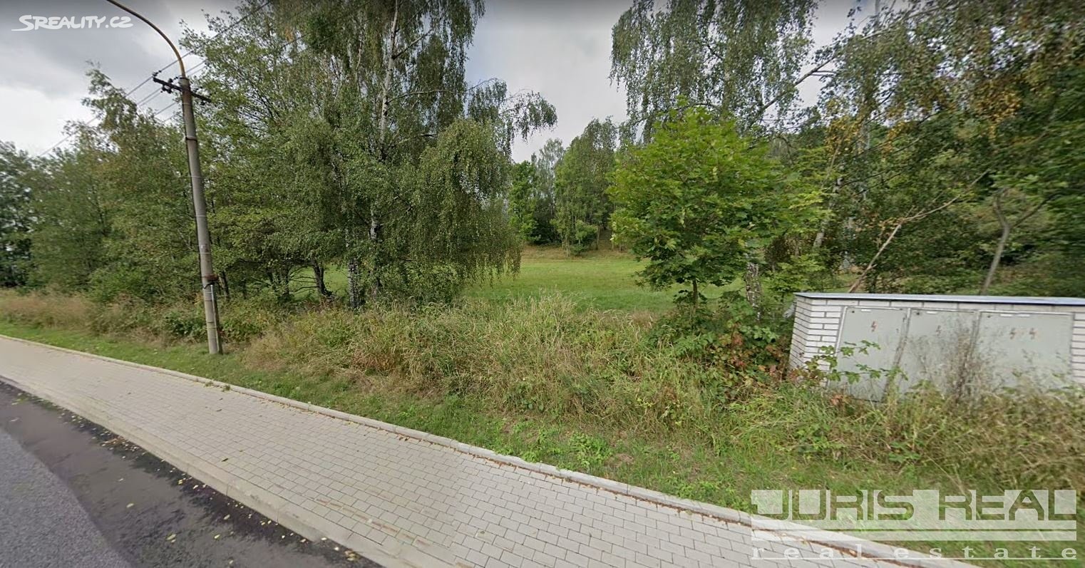 Prodej  stavebního pozemku 3 223 m², Nový Bor - Arnultovice, okres Česká Lípa