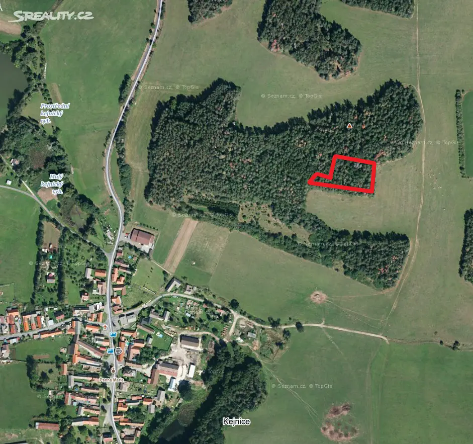 Prodej  lesa 4 170 m², Kejnice, okres Klatovy